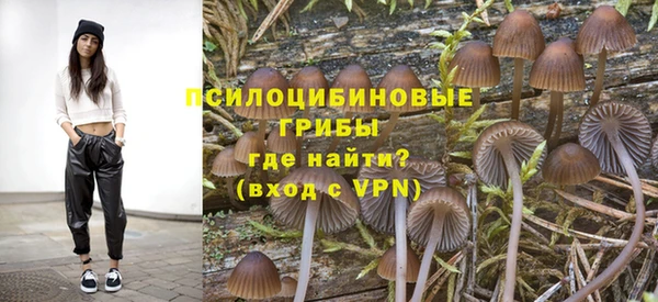 spice Аркадак
