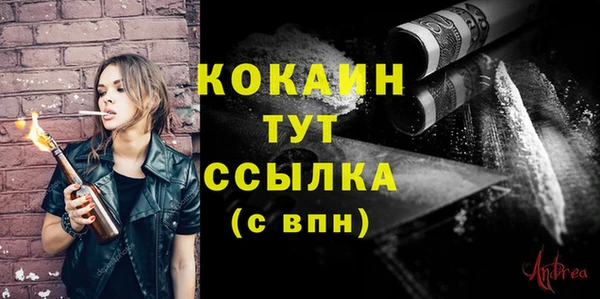 spice Аркадак