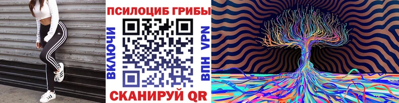 Псилоцибиновые грибы Psilocybe  Серов 